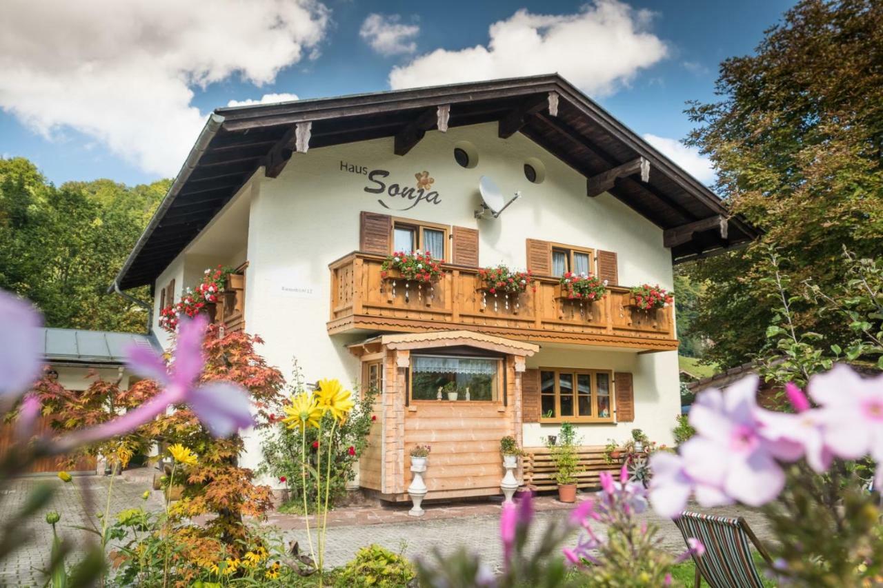 Haus Sonja Apartment